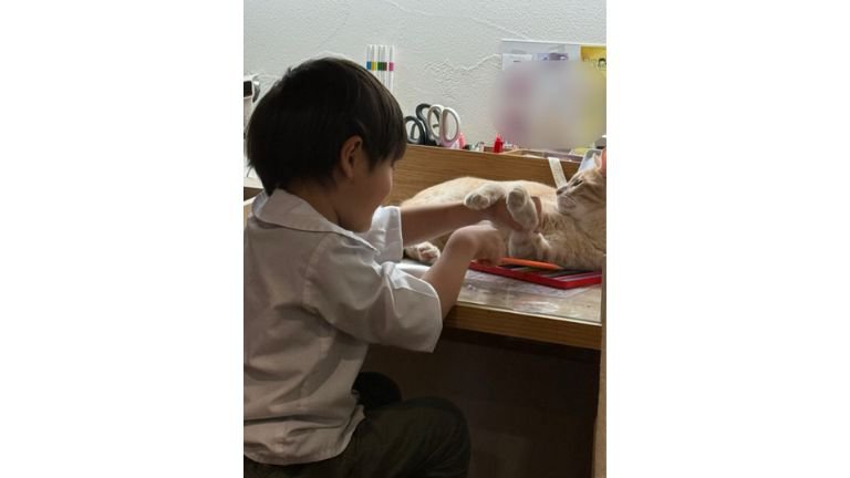 男の子と猫