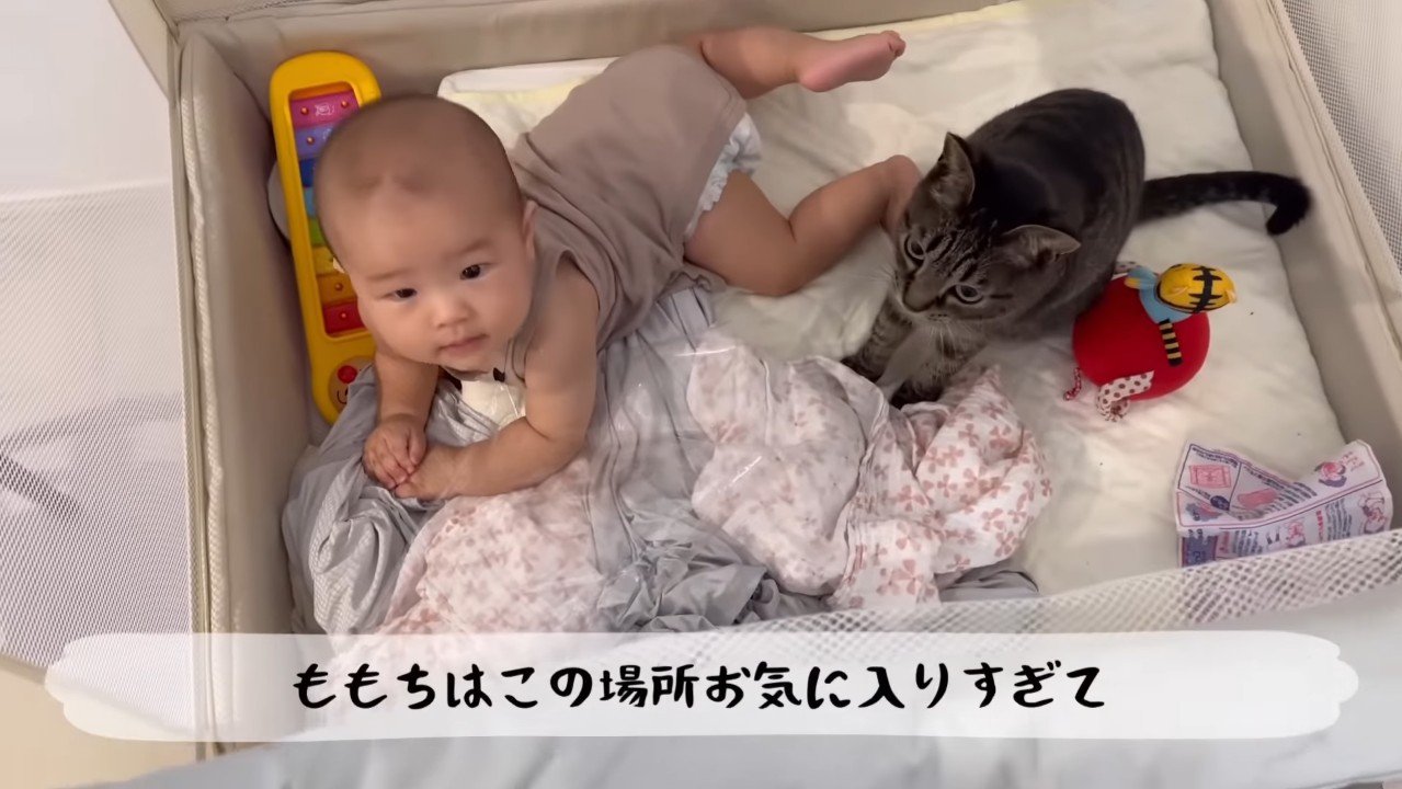 お気に入りすぎて