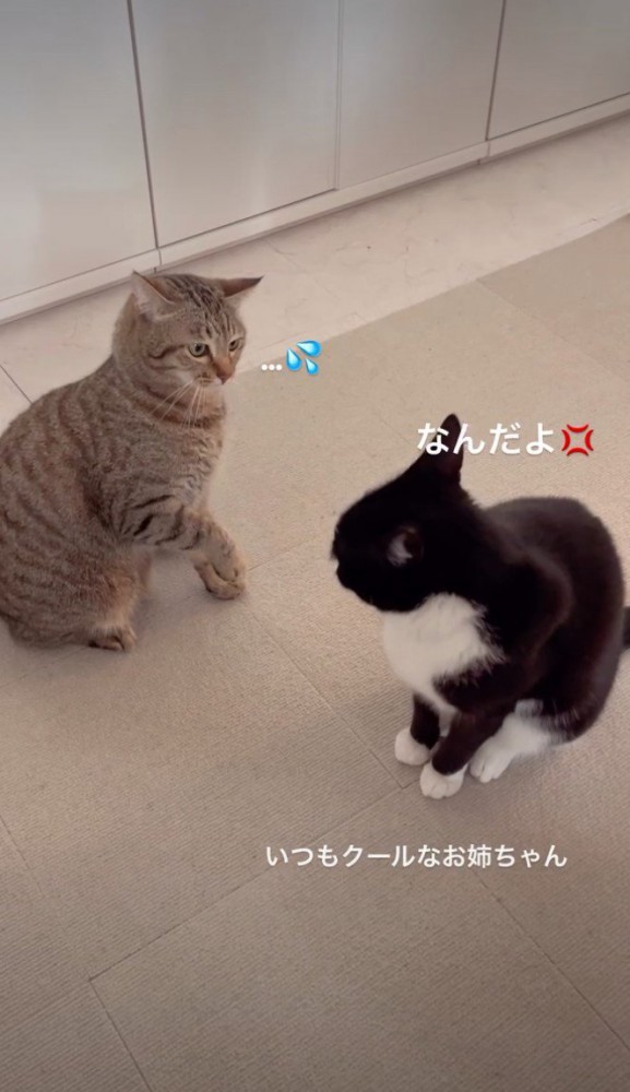汗マークが描かれた写真