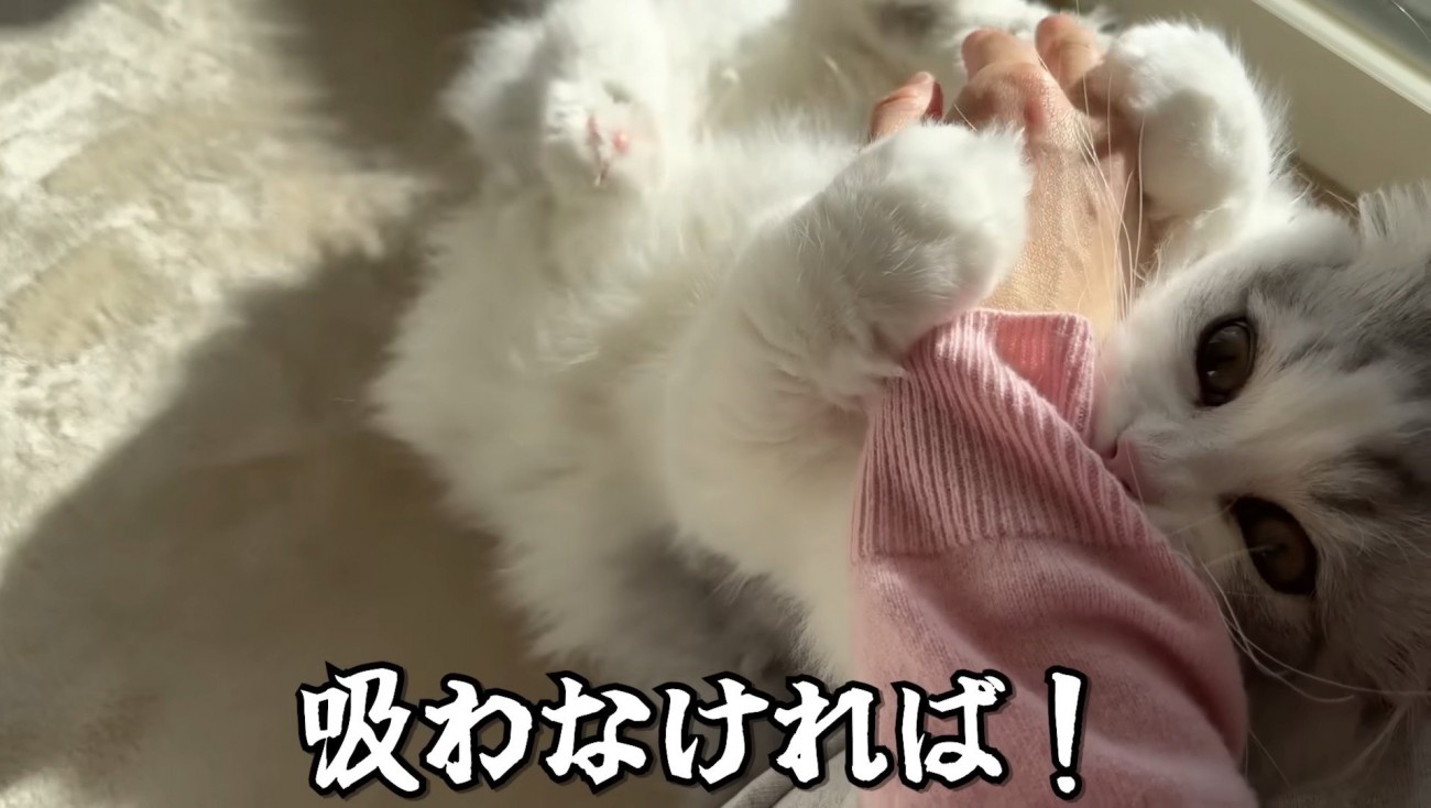 絶対に吸いたいママさん