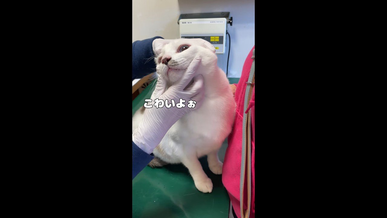 こわいよぉ
