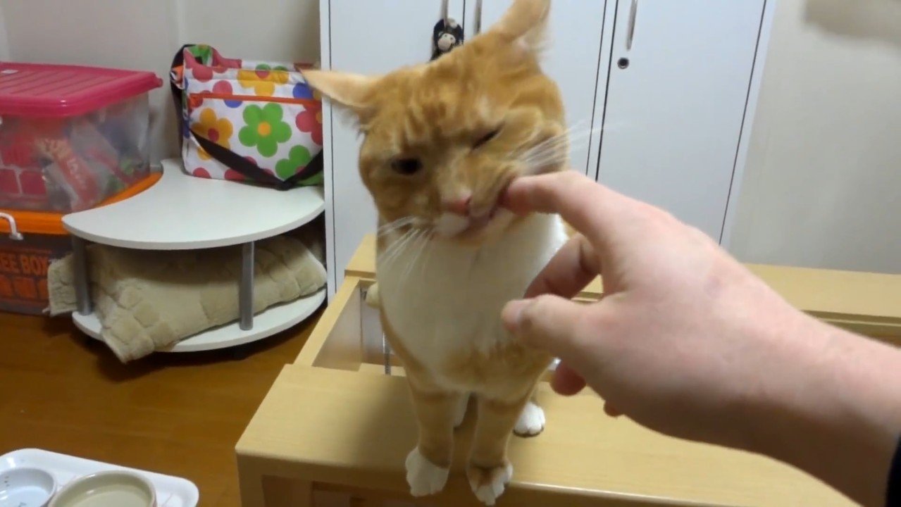 指にスリスリ