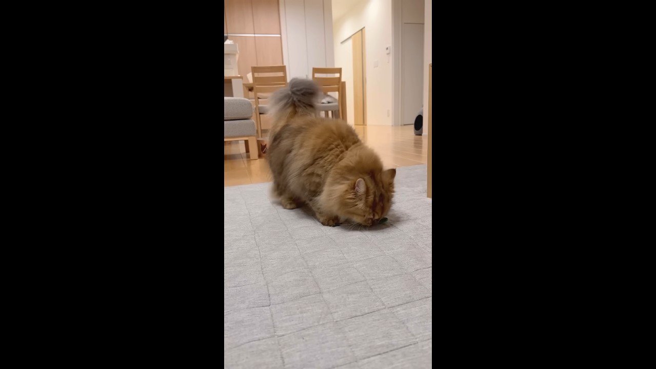 床に顔を近づける姿