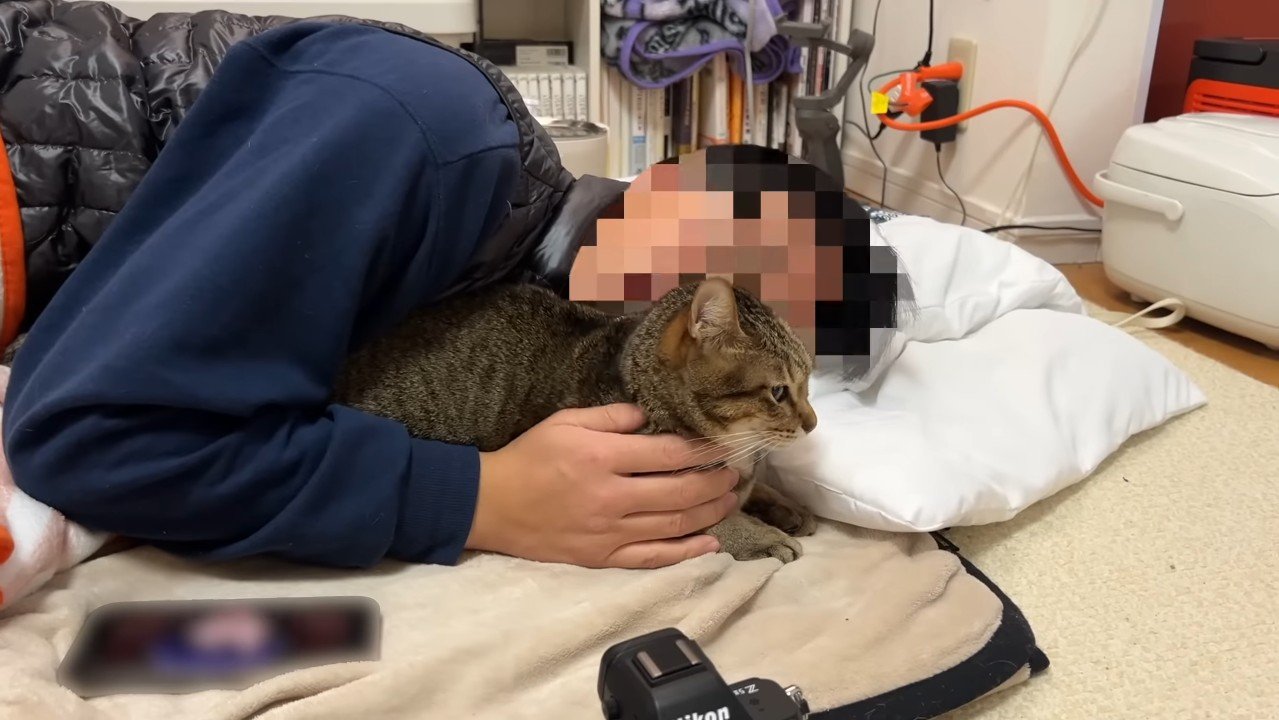 パパさんとうーちゃん