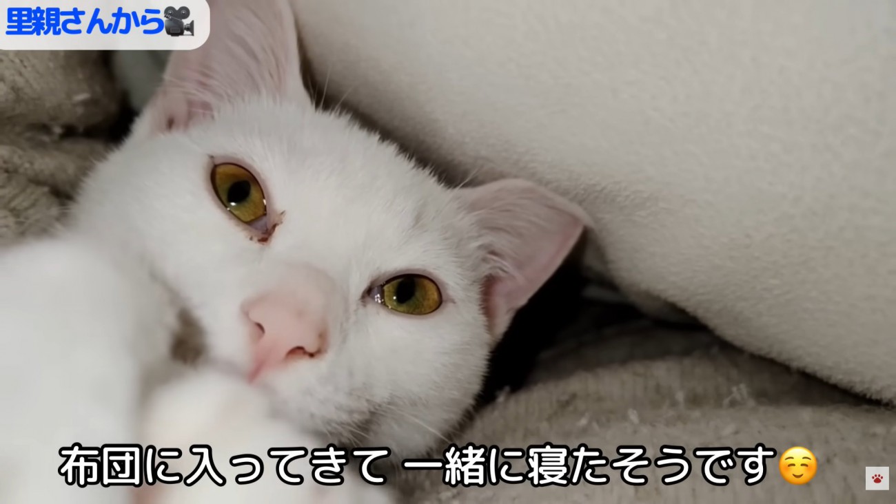 テロップ「布団に入ってきて～」