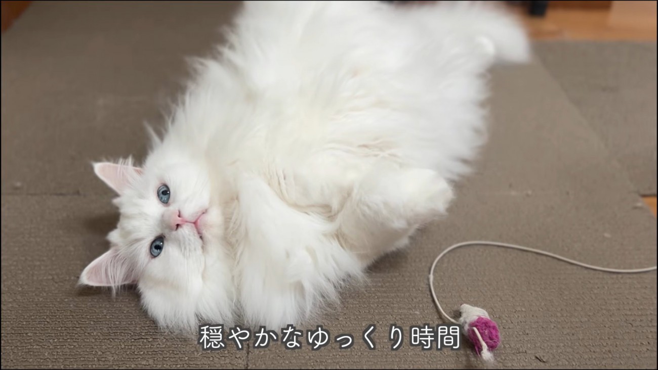 テロップ「穏やかな～」
