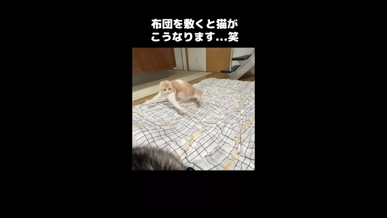 前足を広げて左ひねり