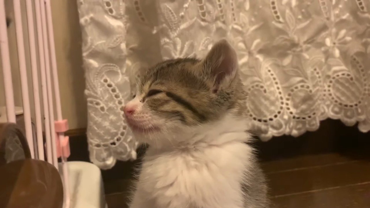 目を閉じる横顔