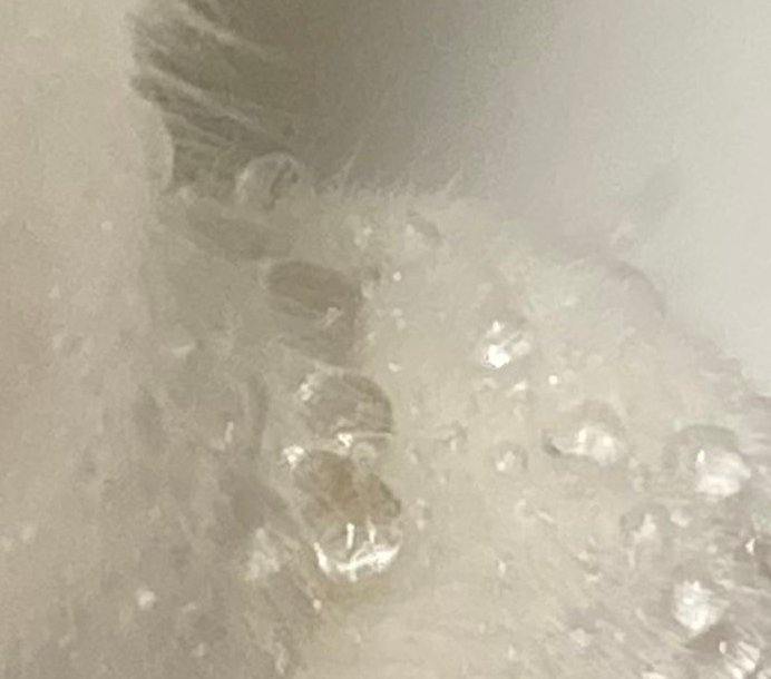 水滴いっぱいの手