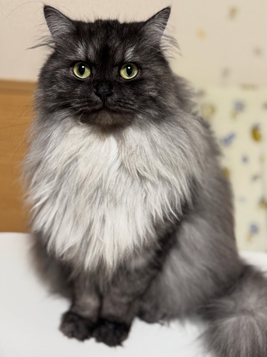 少し落ち着いた現在の様子