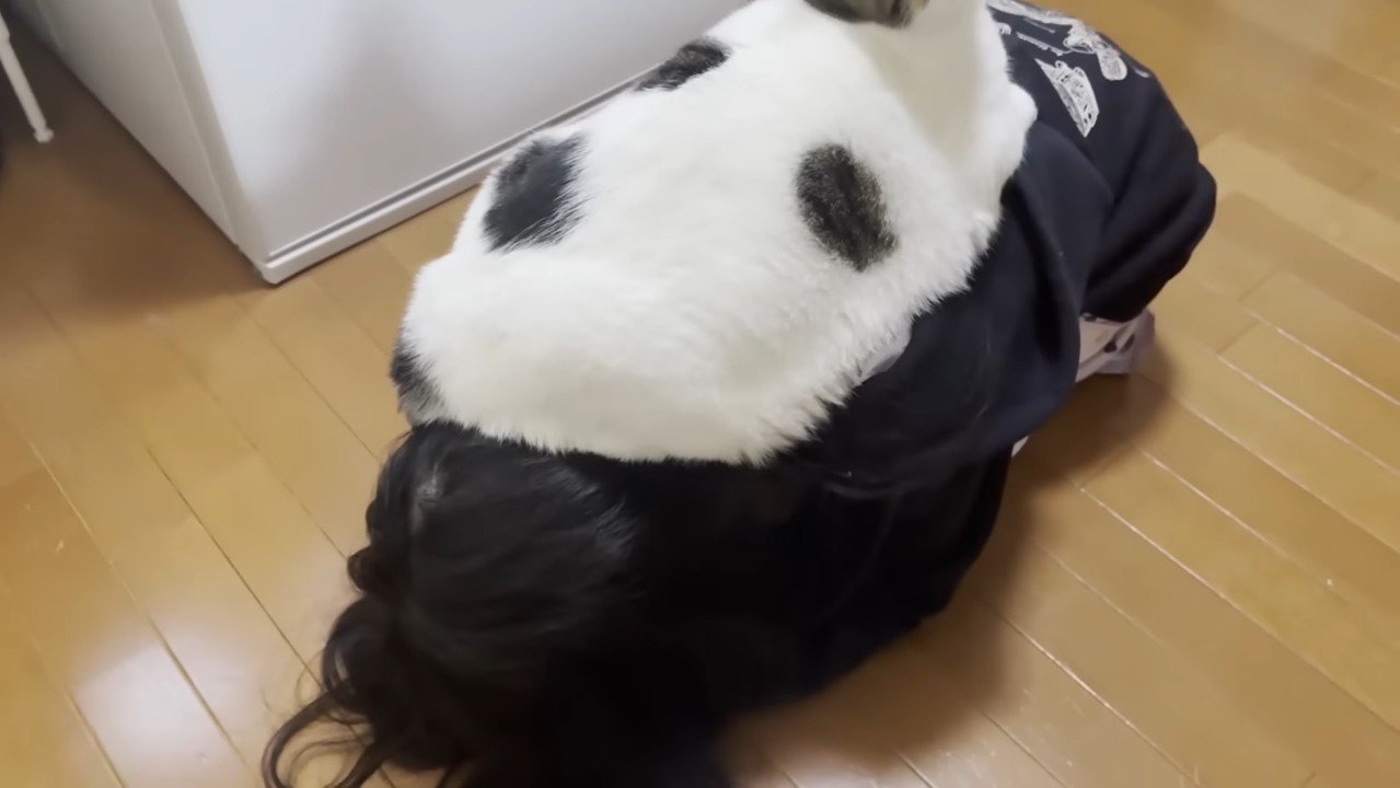 頭の上(後ろから)