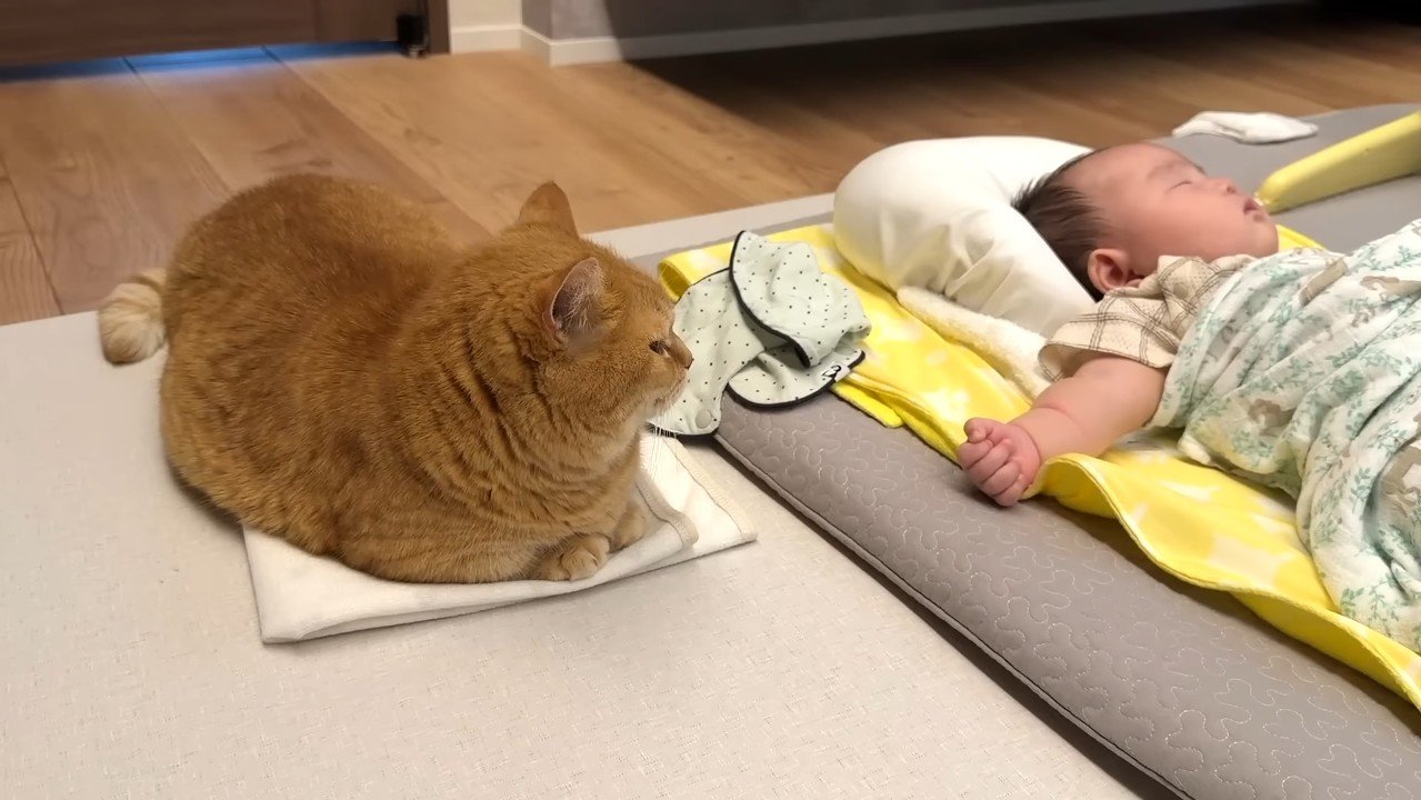 赤ちゃんを見つめる姿