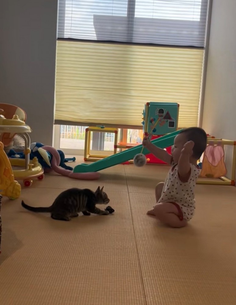 一緒に遊ぶ猫と赤ちゃん2