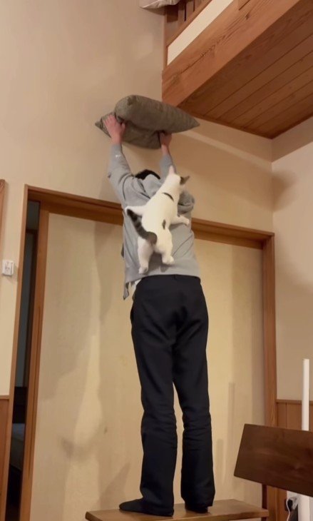 座布団を掲げる飼い主と猫