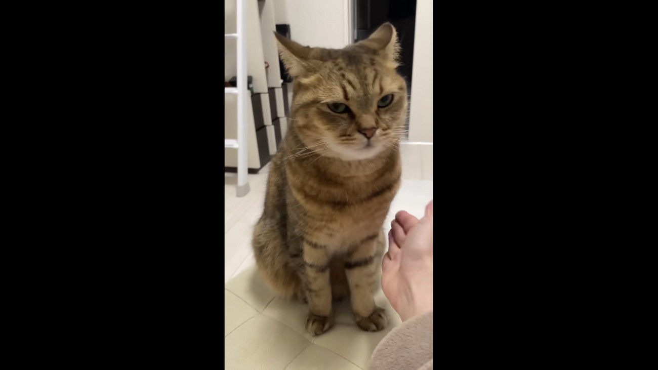 表情で拒否するみにら君