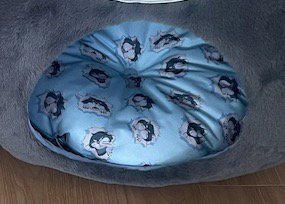 ペットハウスに入ったクッション