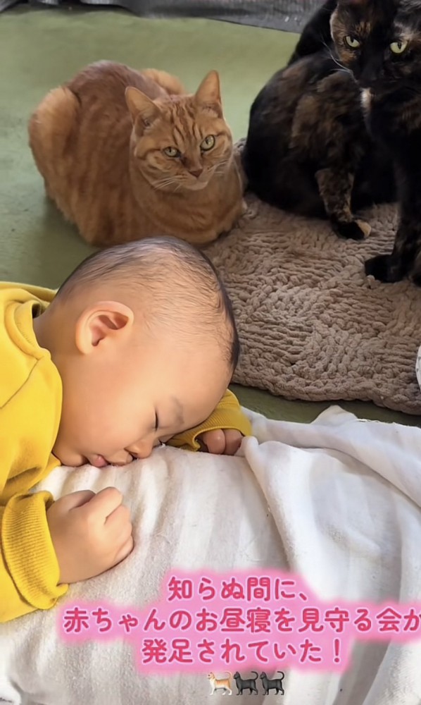 「知らぬ間に...」のテロップ写真3