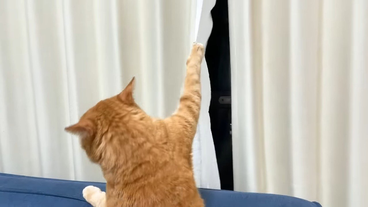 カーテン