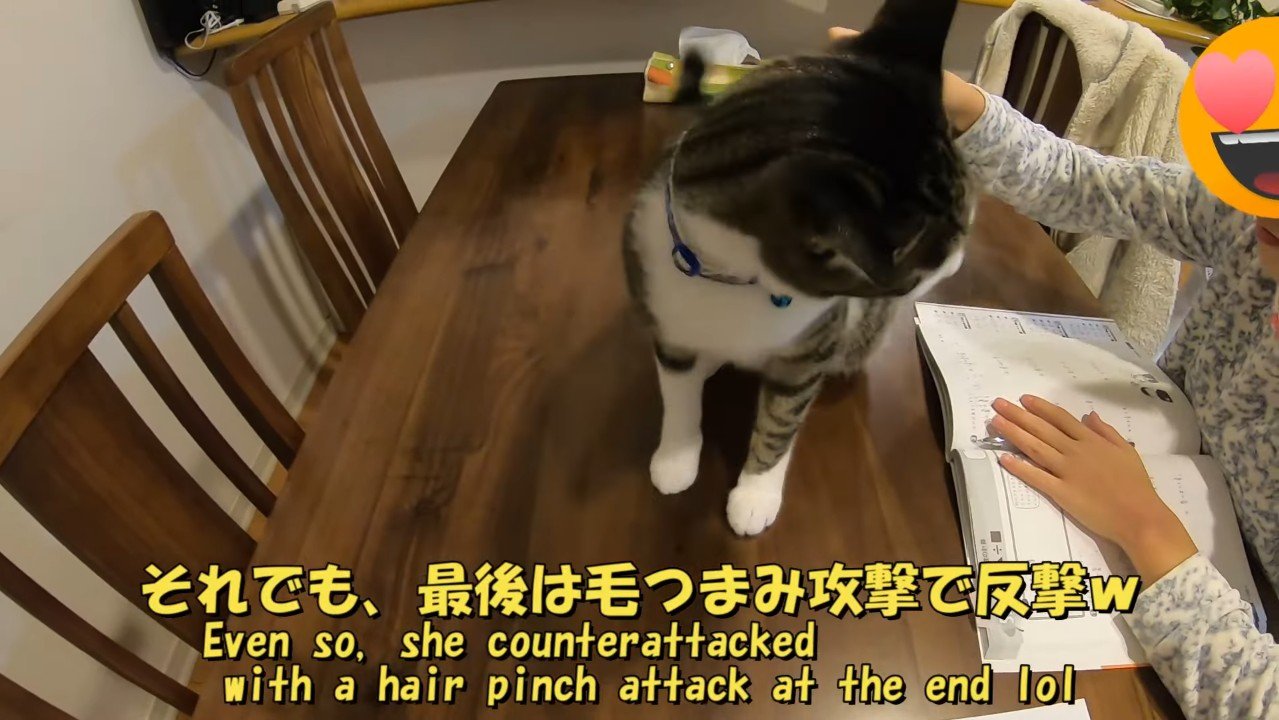 最後は毛つまみ攻撃