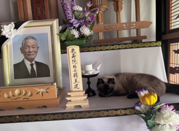 おじいちゃんの遺影と猫