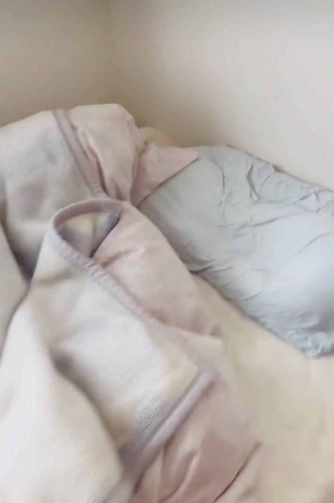 茶トラ猫が眠るベッド