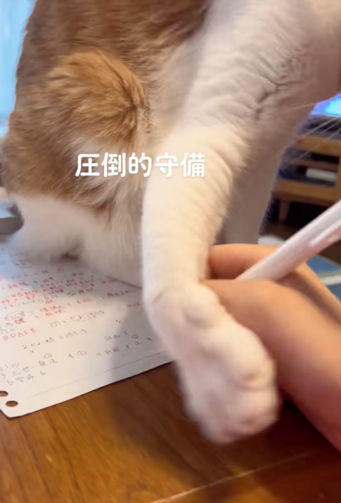 宿題に手を伸ばす