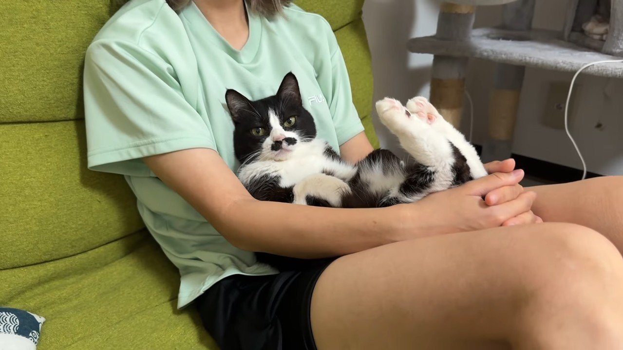 膝抱っこ
