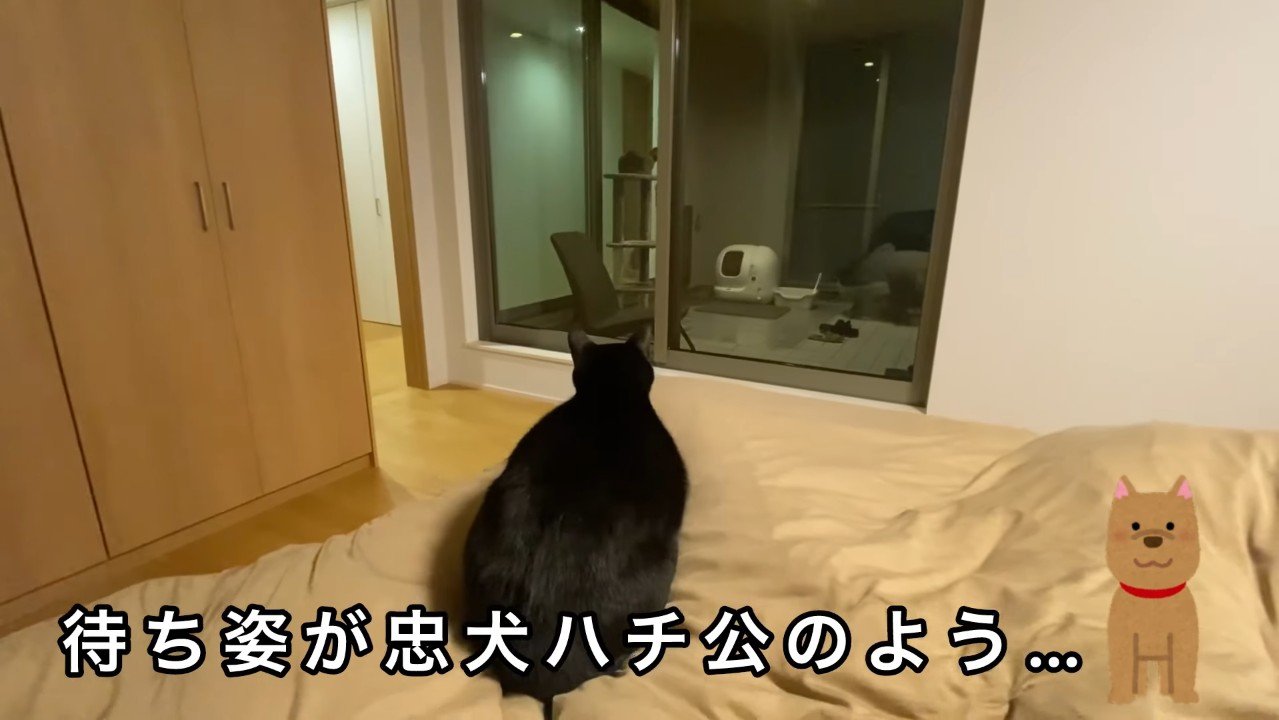 忠犬ハチ公のよう