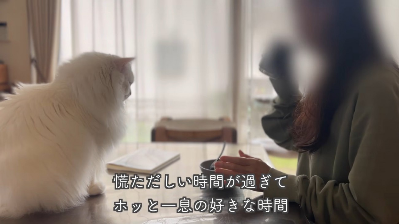 テロップ「慌ただしい時間が～」