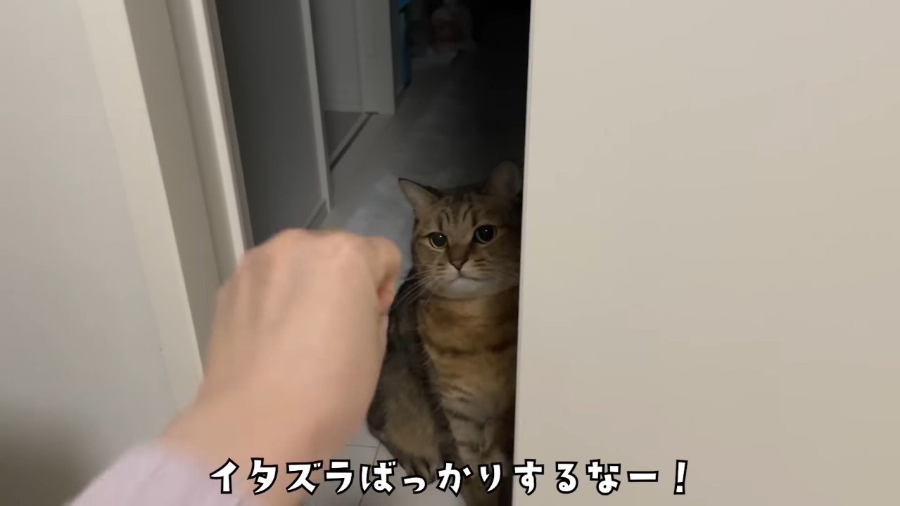 イタズラばっかり