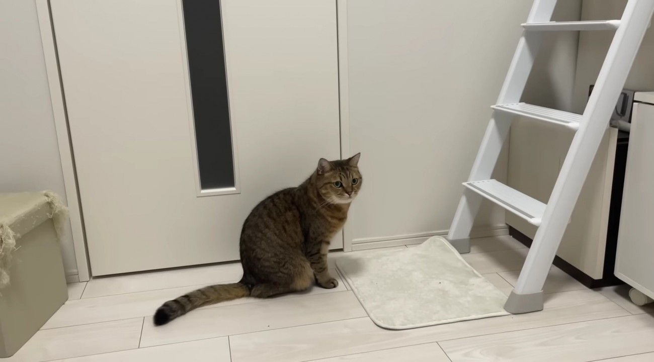 部屋のはじに逃げたみにらくん