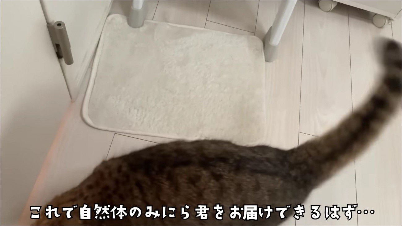 ヘッドマウント式スマホ固定スタンドで撮影し、やや画面からはみ出すみにらくん