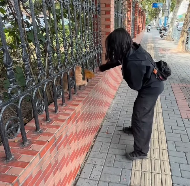 野良猫と遊ぶ女性2