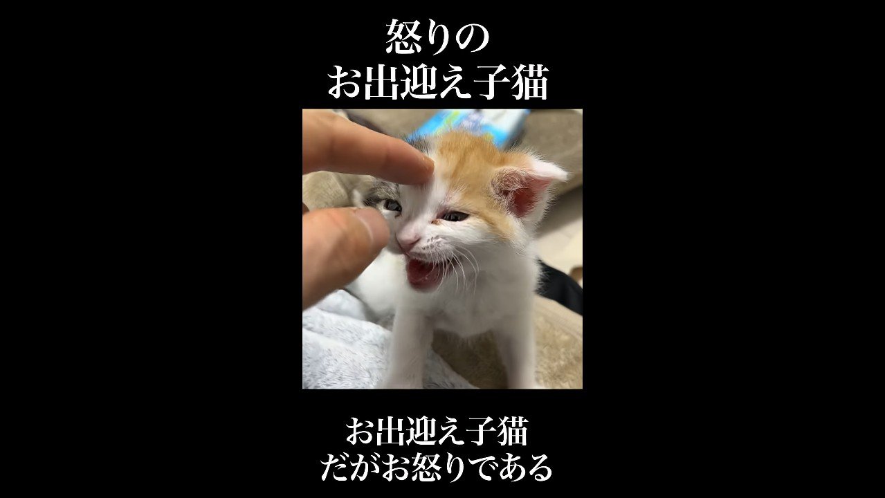 指先でなでなで