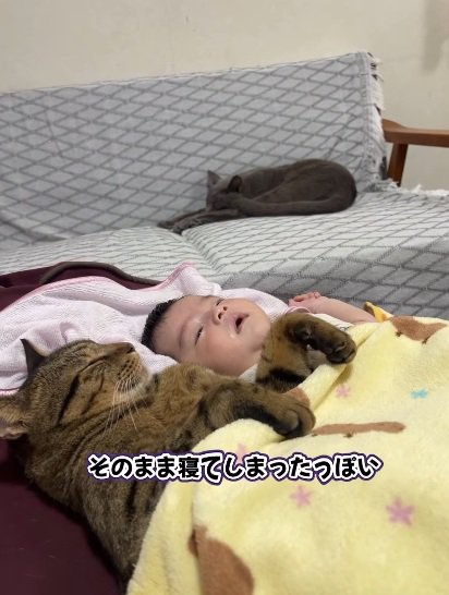 赤ちゃんと一緒の布団で寝る猫