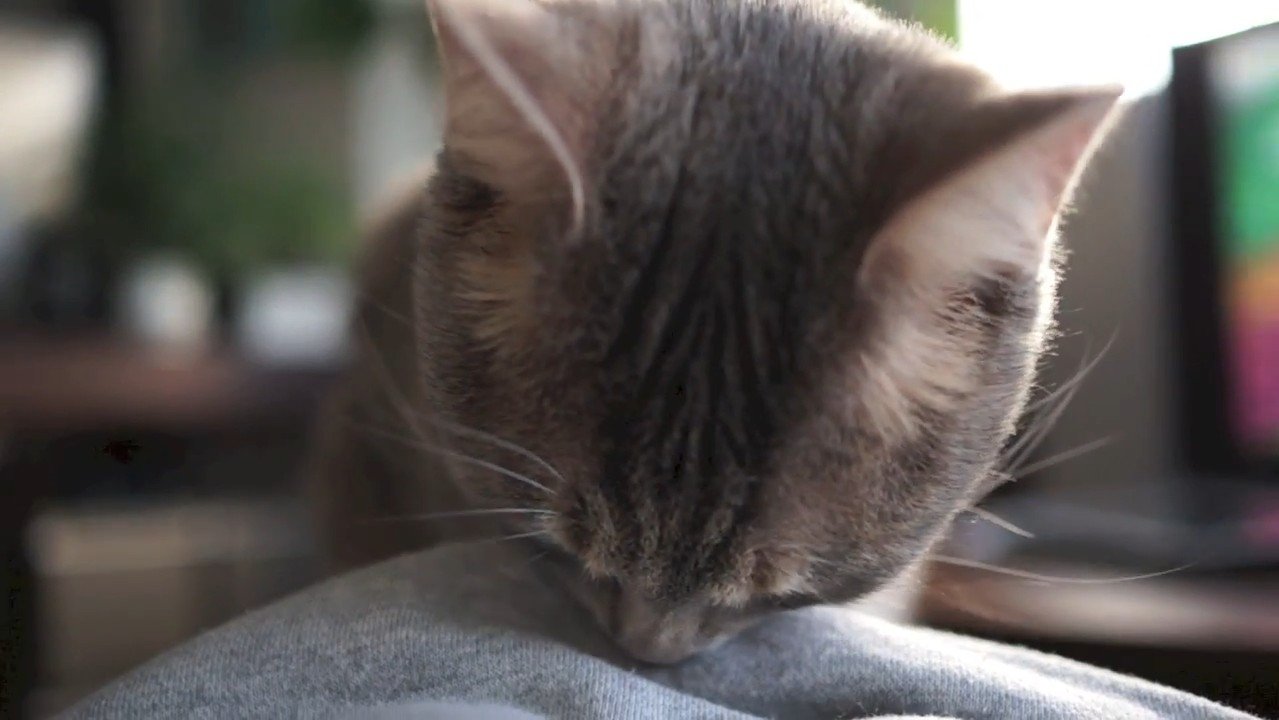 嗅ぐクリエちゃん