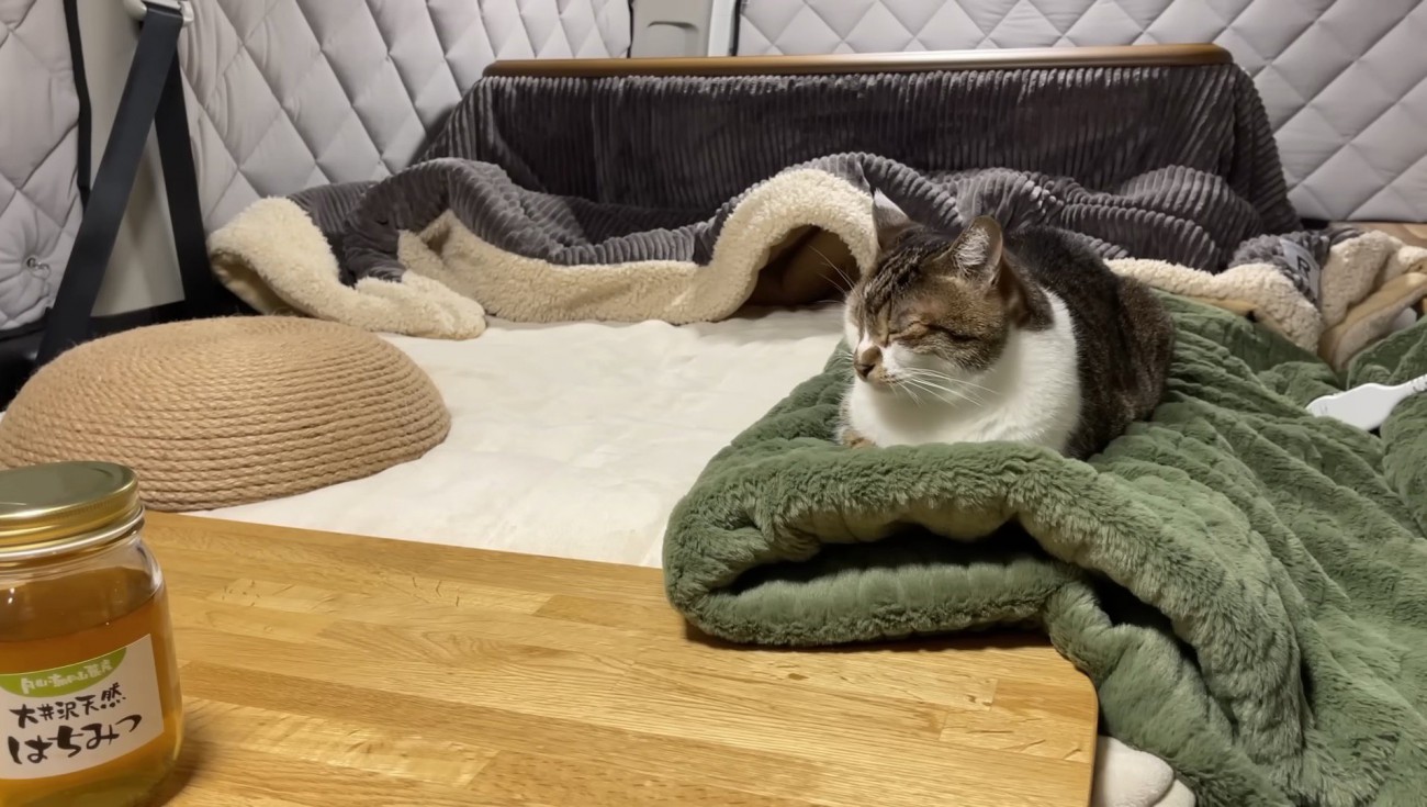 寝ているマサくんの様子