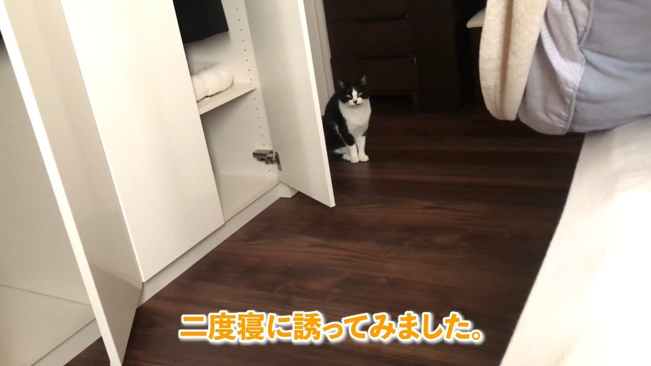 二度寝に誘ってみました