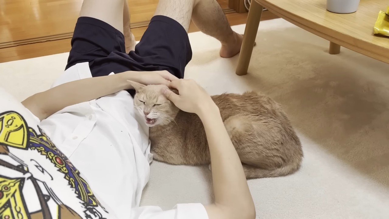 鳴き声を上げて