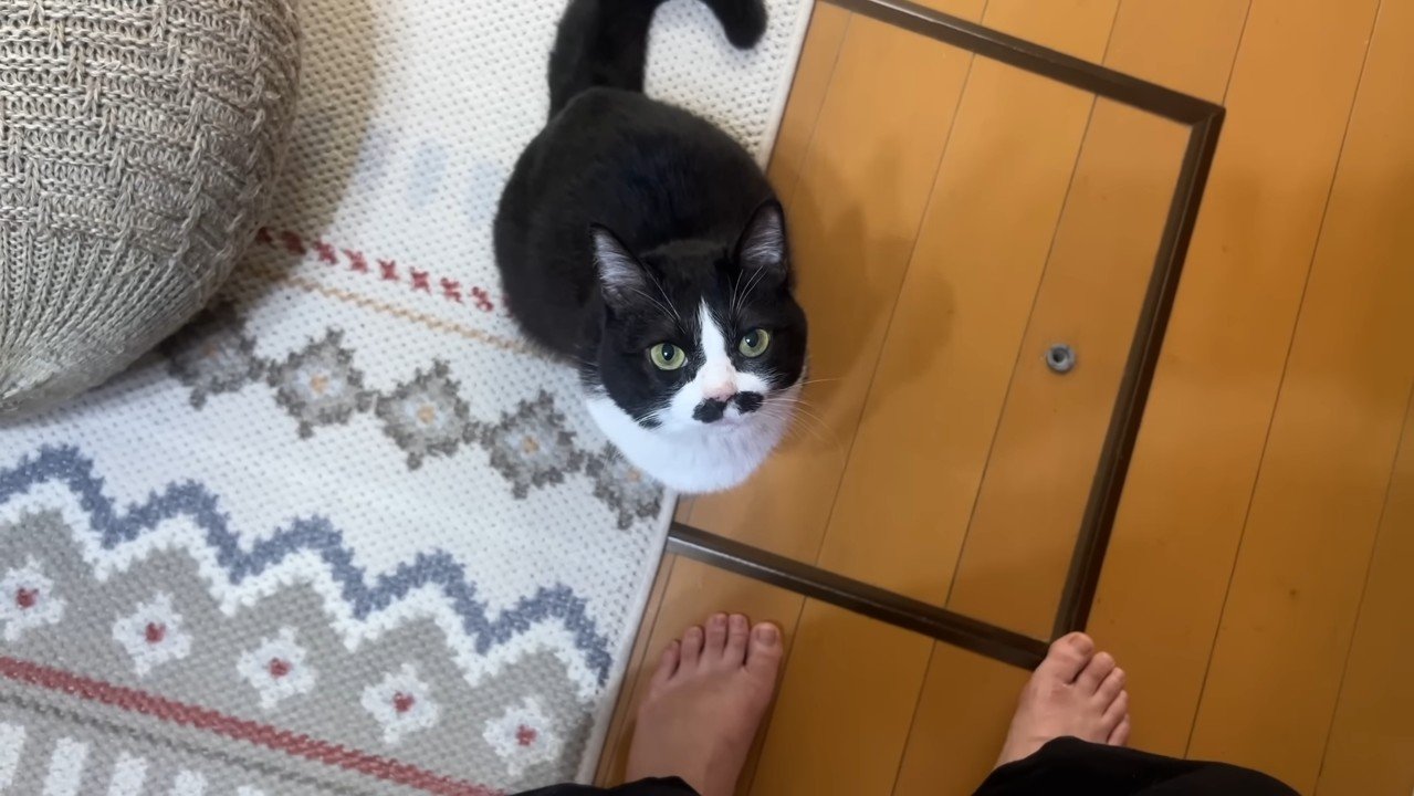 座って見上げる姿