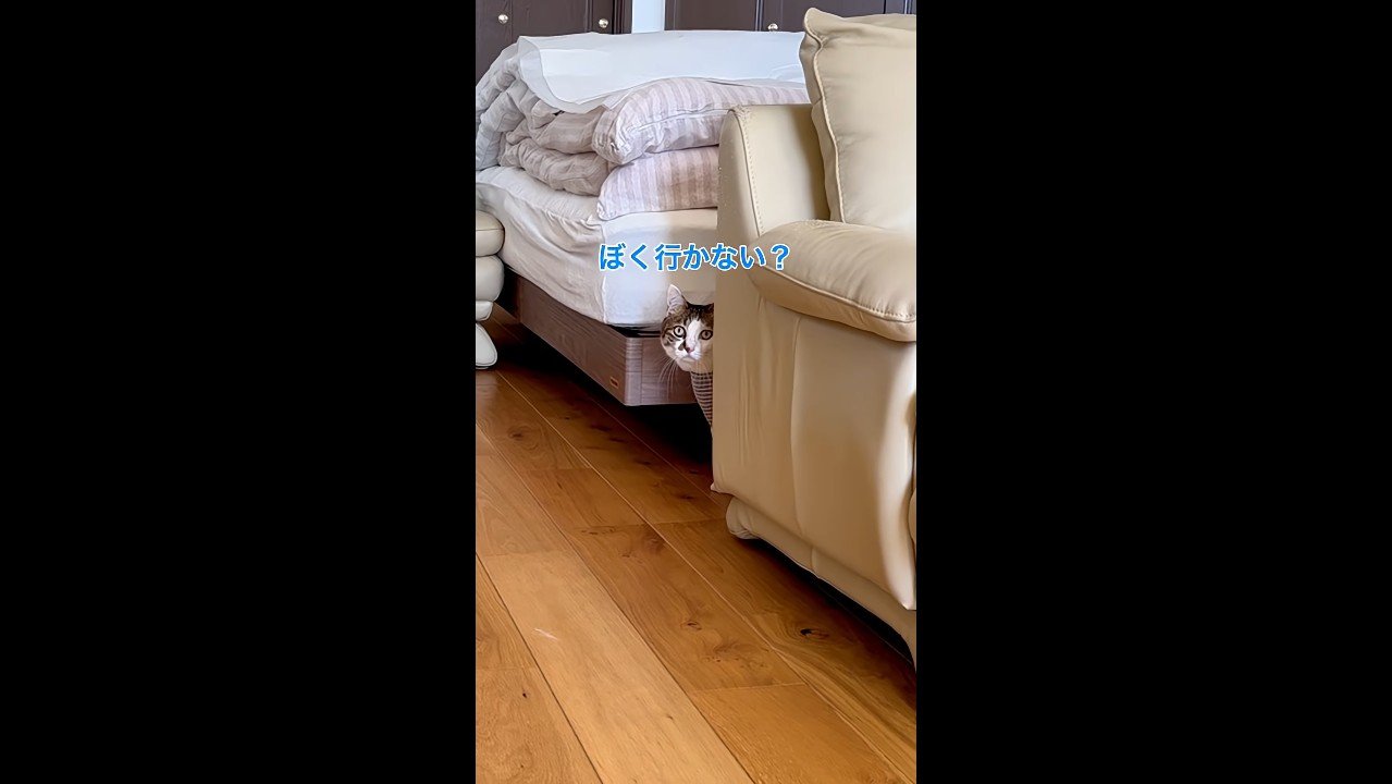 ぼく行かない？