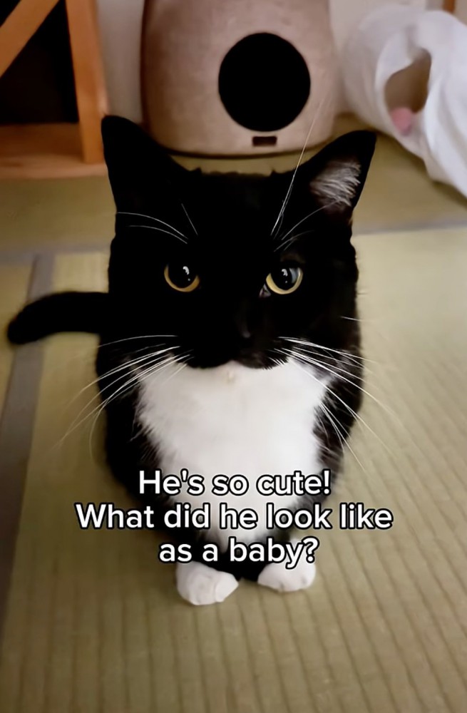 成長したうにちゃん