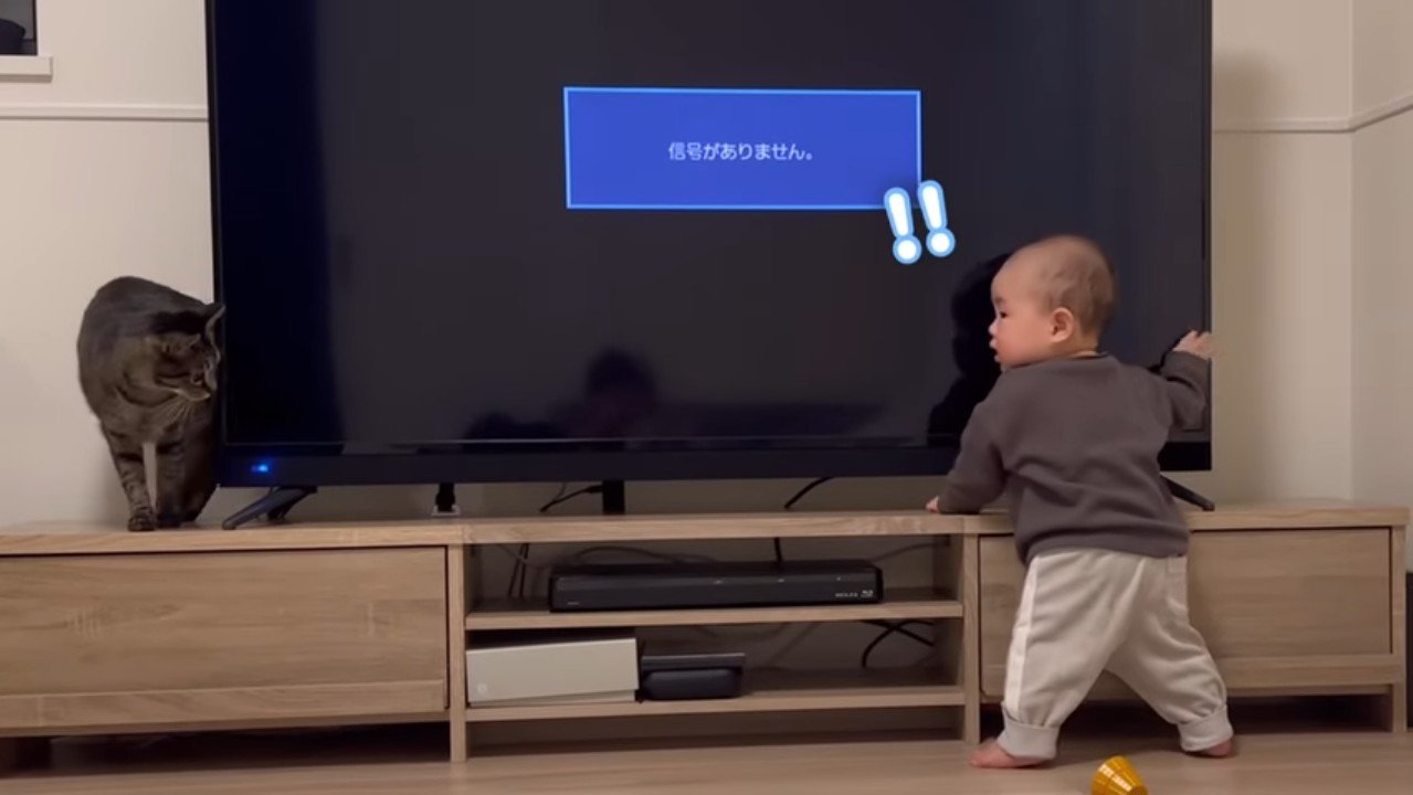 ！！(赤ちゃんが右)