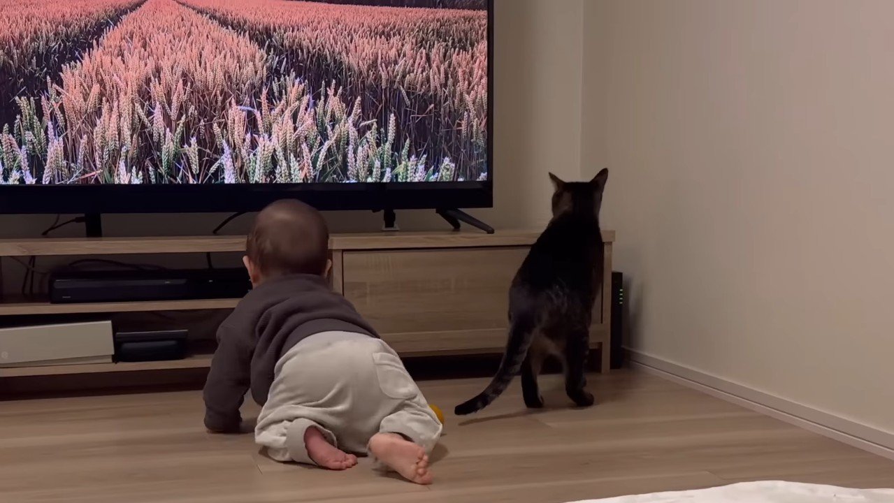 ふたりの後ろ姿