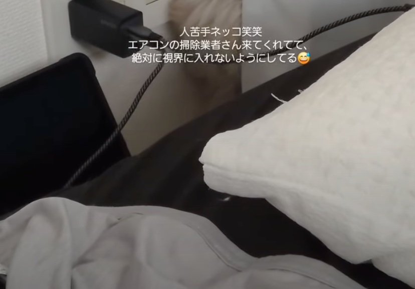 カーテンの裏に