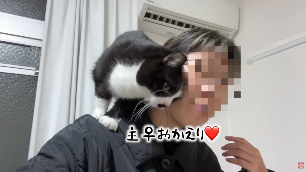 テロップ「主♀おかえり」