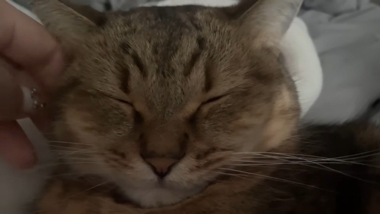 正面からドアップ