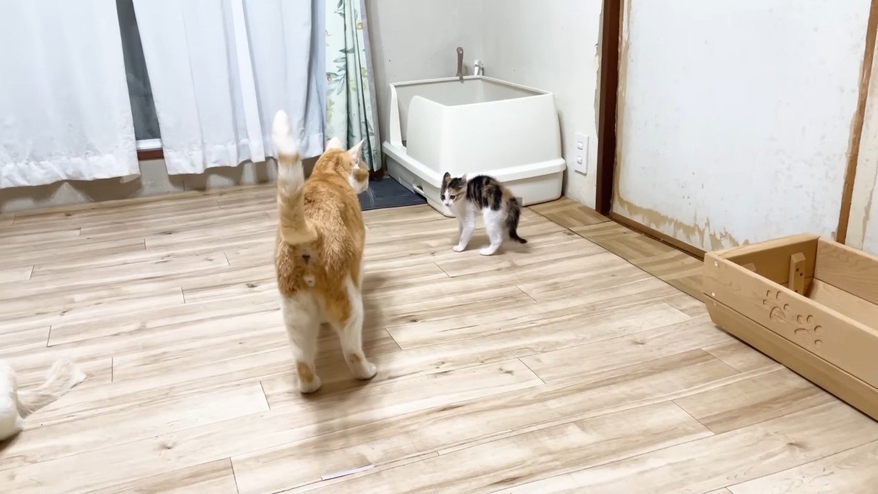 向き合うふたり