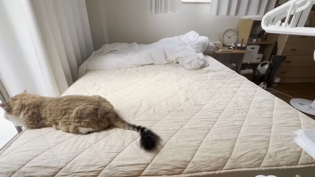 ベッドの端っこ