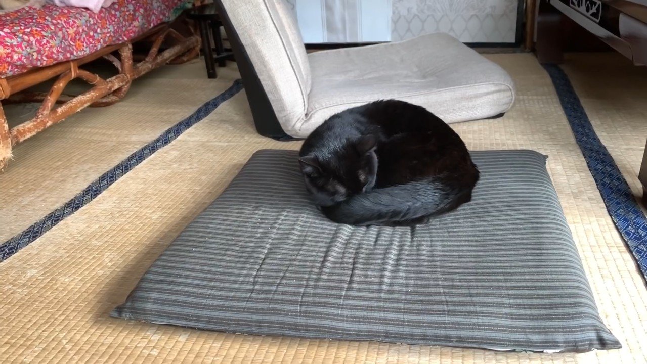 丸まる天くん